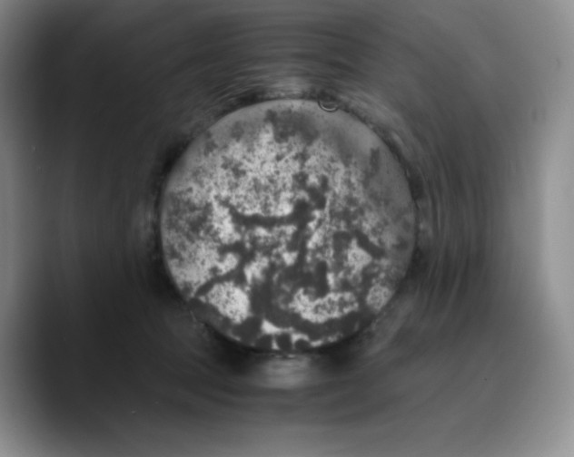 X0000089690369200707201725