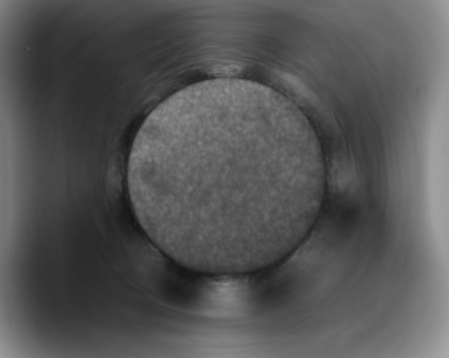 X0000089690370200707201725