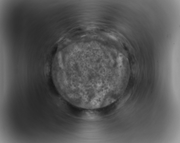 X0000089690372200707201725