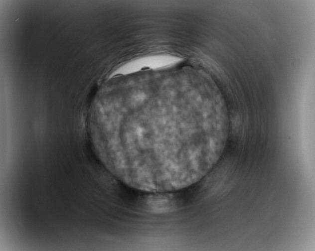 X0000089690373200707201725