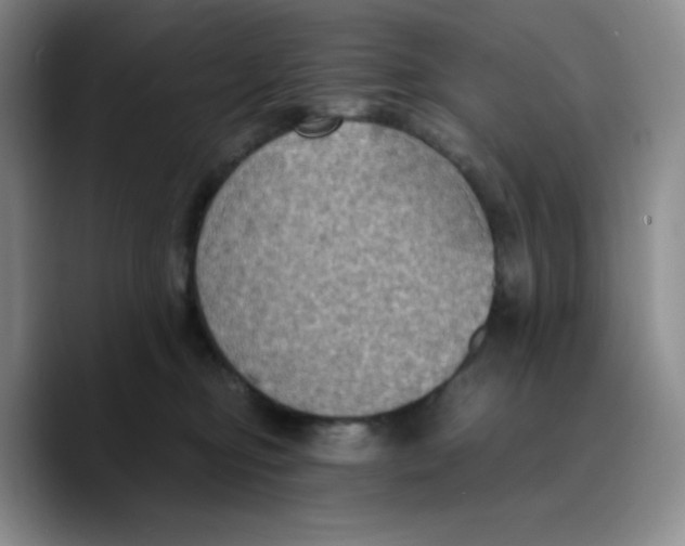 X0000089690374200707201725