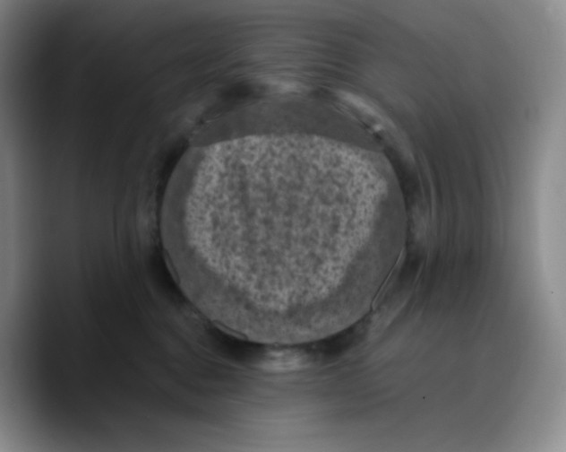 X0000089690376200707201725