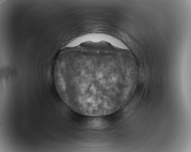 X0000089690377200707201725