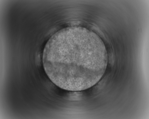 X0000089690378200707201725