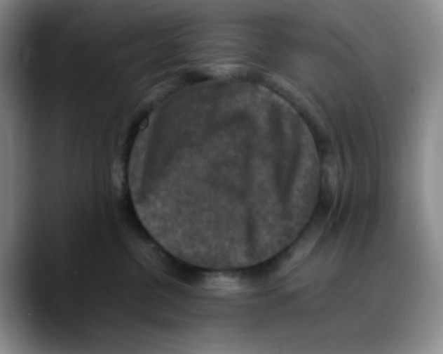 X0000089690380200707201725