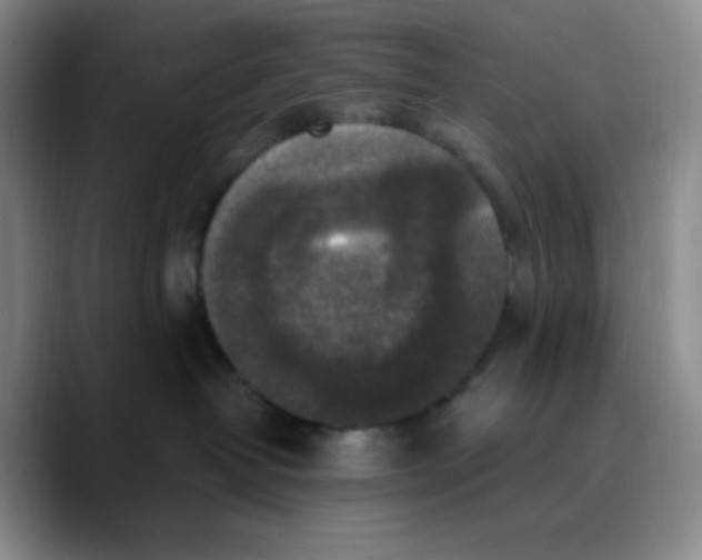 X0000089690382200707201725