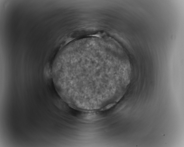 X0000089690384200707201725