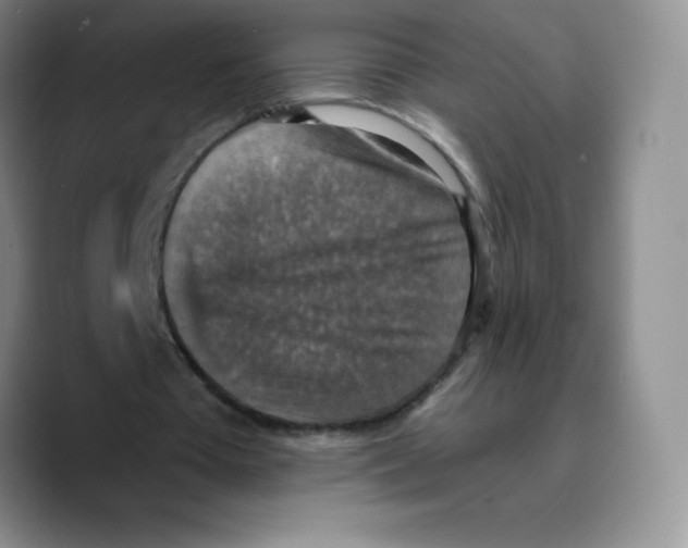 X0000089690385200707201724