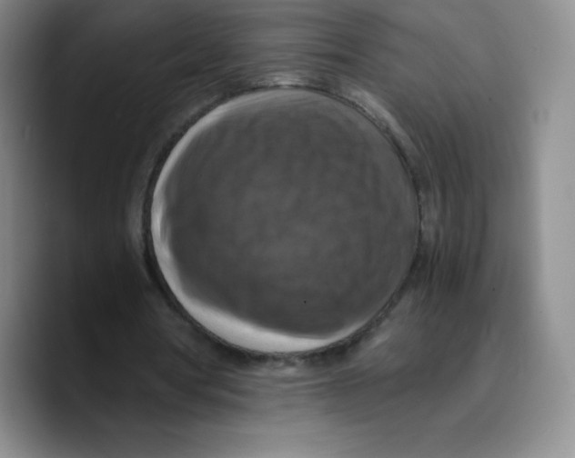 X0000089690386200707201724