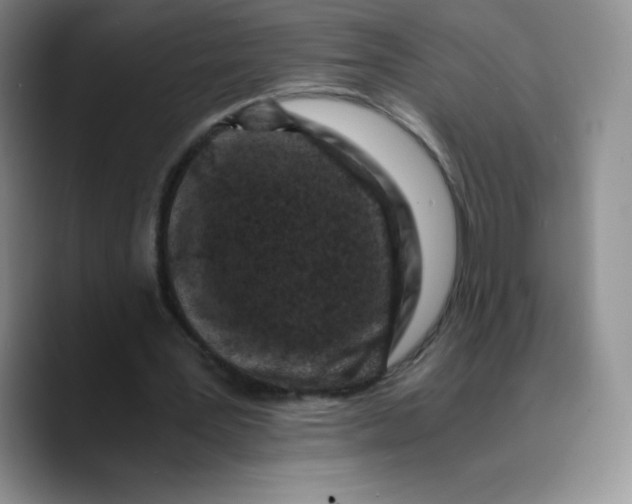 X0000089690387200707201724