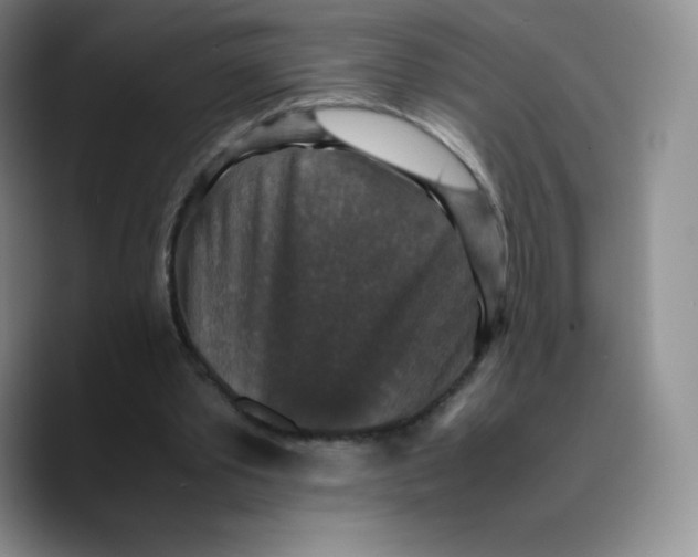 X0000089690389200707201724