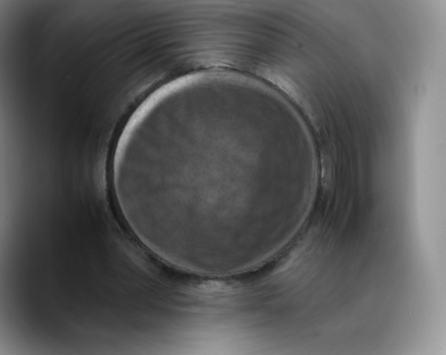 X0000089690390200707201724