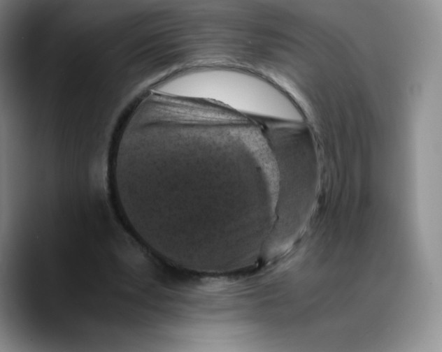 X0000089690391200707201724