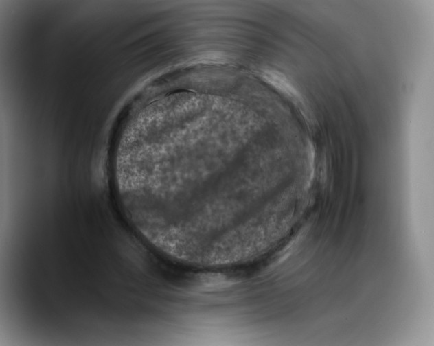 X0000089690392200707201724