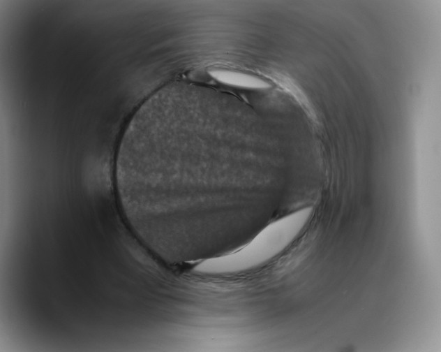 X0000089690393200707201724