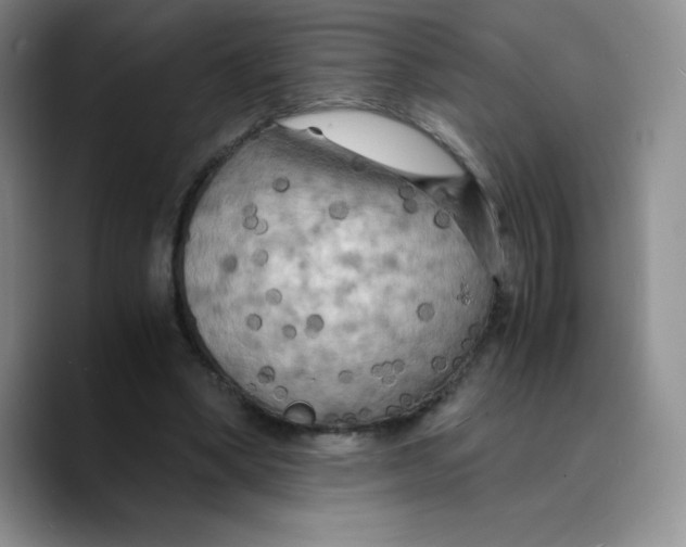 X0000089690394200707201724
