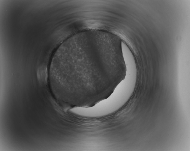 X0000089690397200707201724