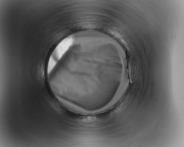 X0000089690398200707201724