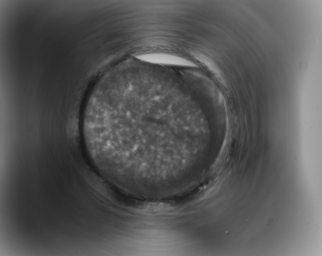 X0000089690399200707201724