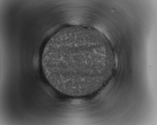 X0000089690400200707201724