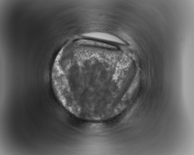 X0000089690401200707201724