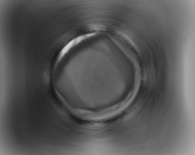 X0000089690402200707201724