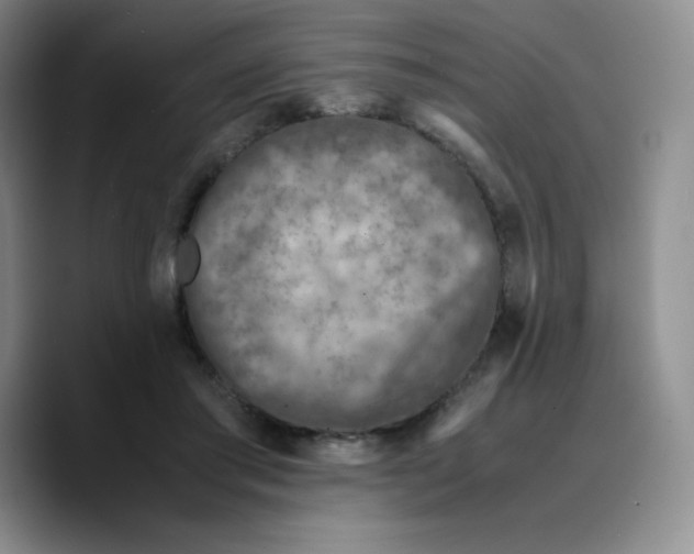 X0000089690405200707201724