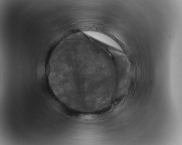 X0000089690407200707201724