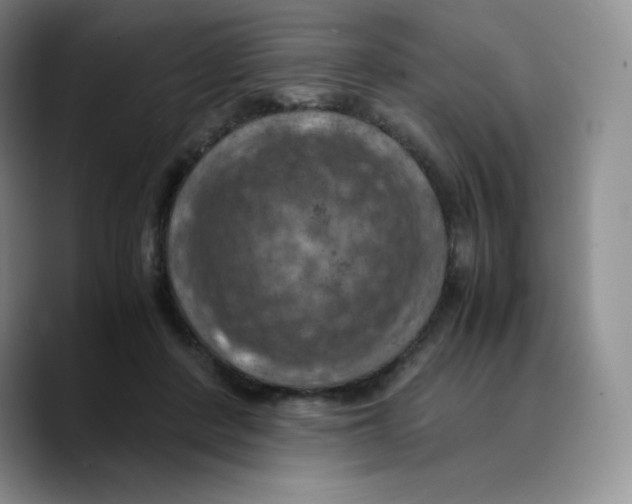 X0000089690408200707201724