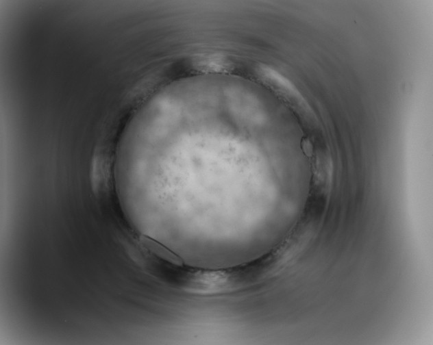 X0000089690409200707201724