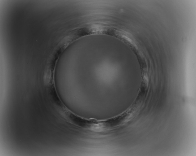 X0000089690411200707201724