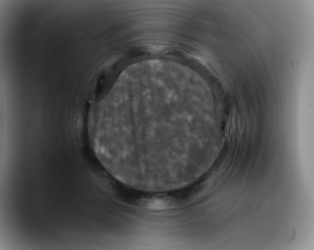 X0000089690412200707201724