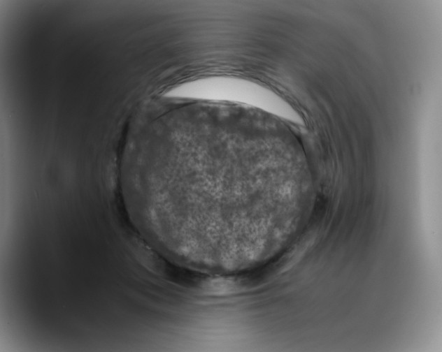 X0000089690413200707201724