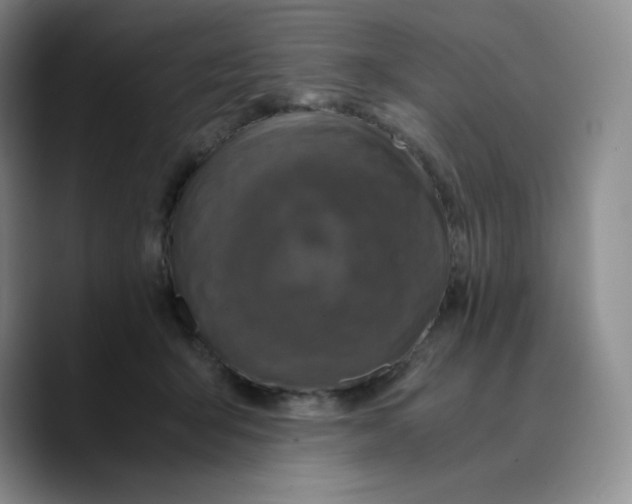X0000089690415200707201724