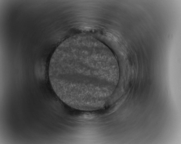 X0000089690416200707201724