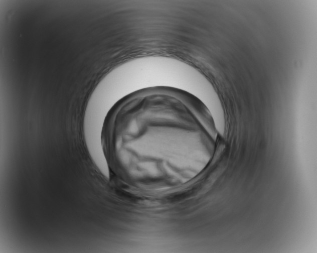 X0000089690417200707201724