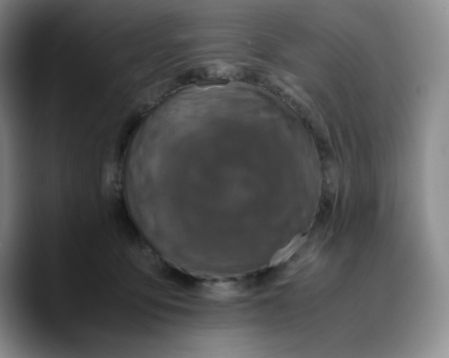 X0000089690419200707201724