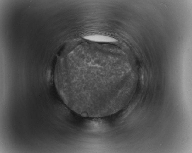 X0000089690420200707201724