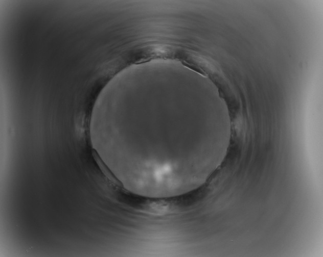 X0000089690423200707201724