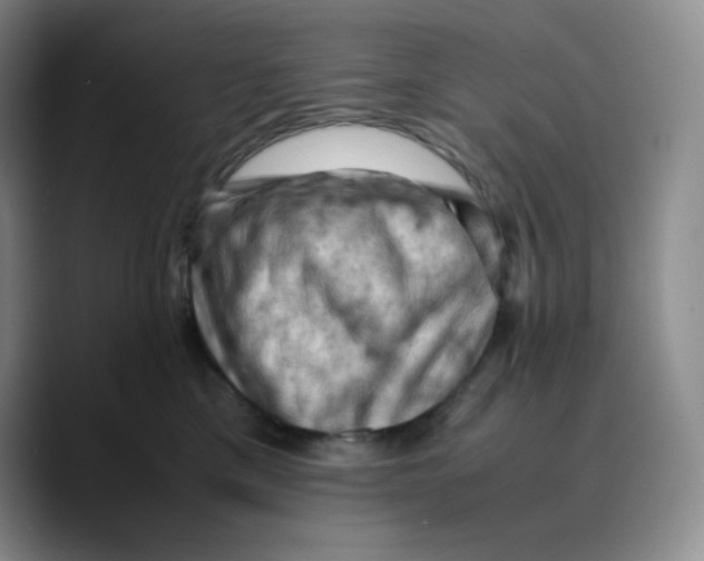 X0000089690425200707201724