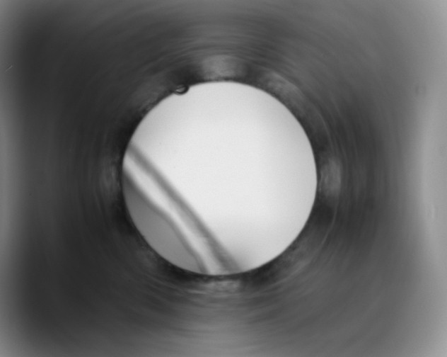 X0000089690426200707201724