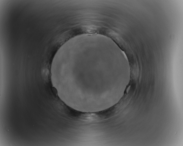 X0000089690427200707201724