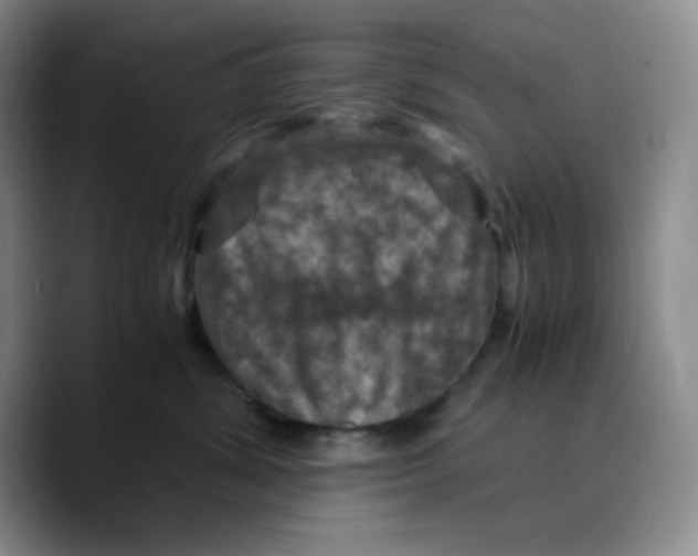 X0000089690428200707201724