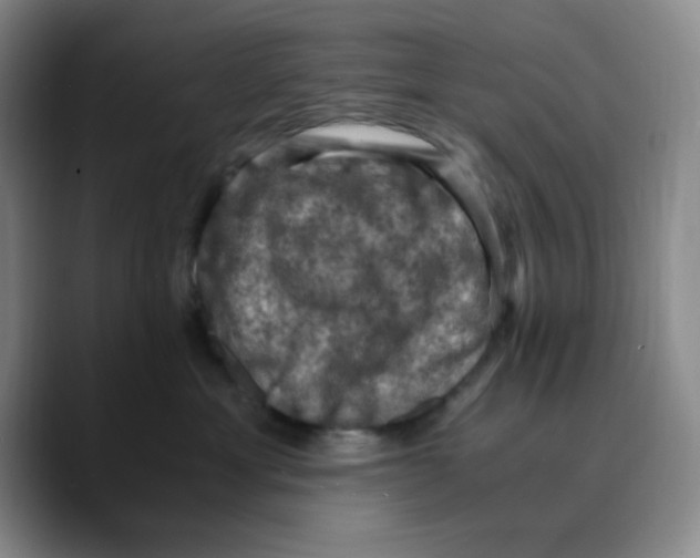 X0000089690429200707201724