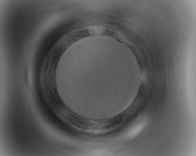 X0000089690431200707201724