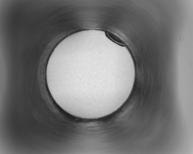 X0000089690433200707201723