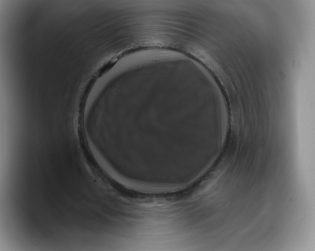 X0000089690434200707201723