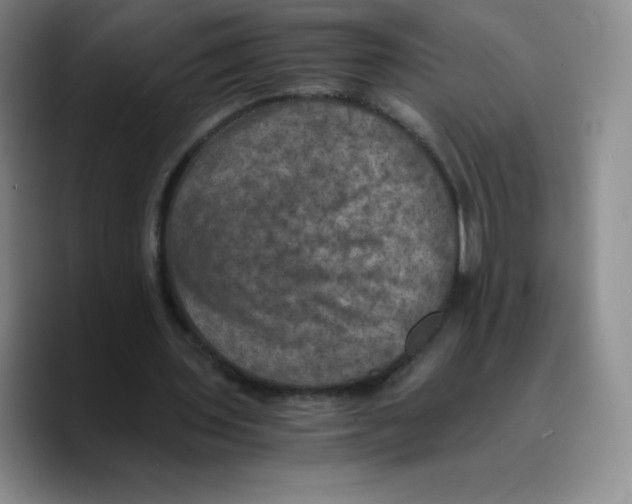 X0000089690435200707201723
