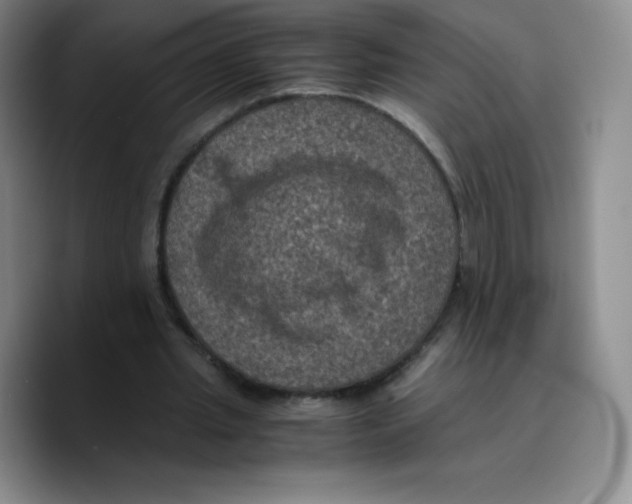 X0000089690437200707201723