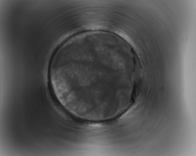 X0000089690438200707201723
